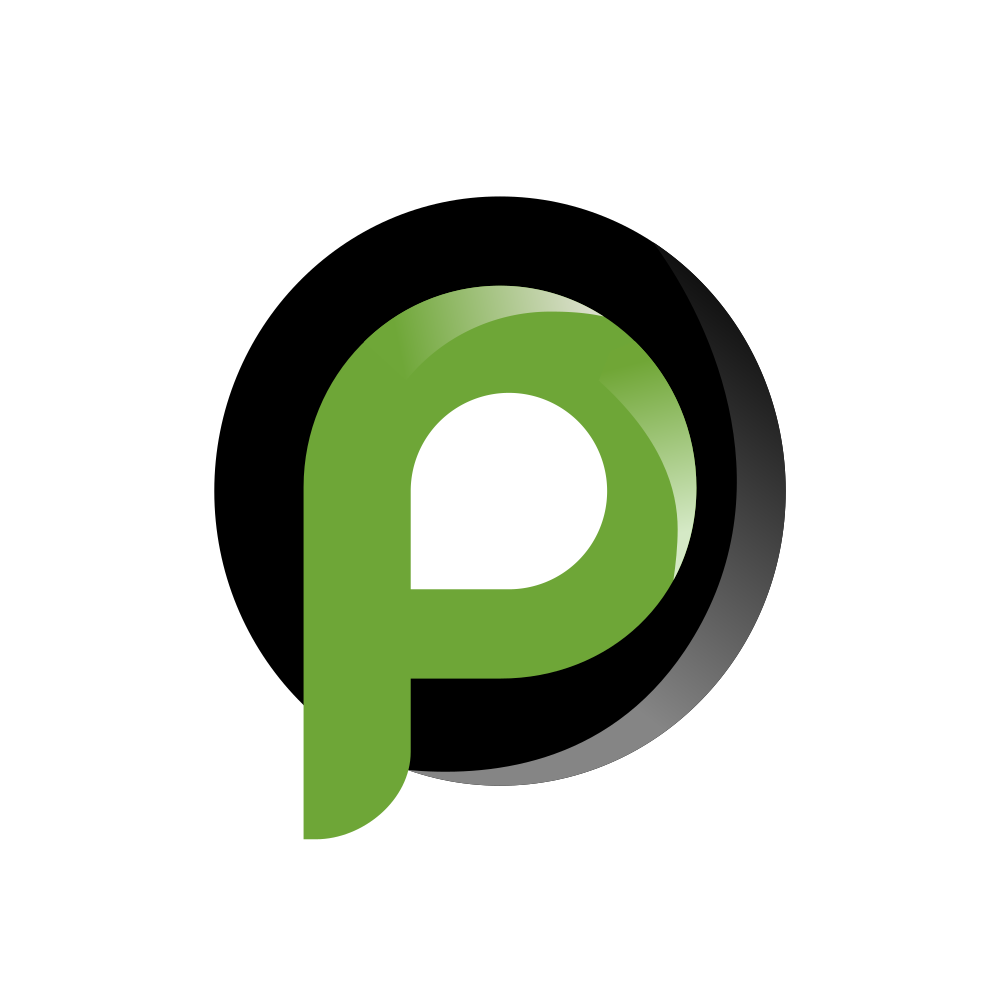 PENTAGON.NSE logo