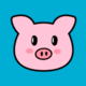 PIGGYC logo