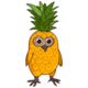 PINEOWL logo