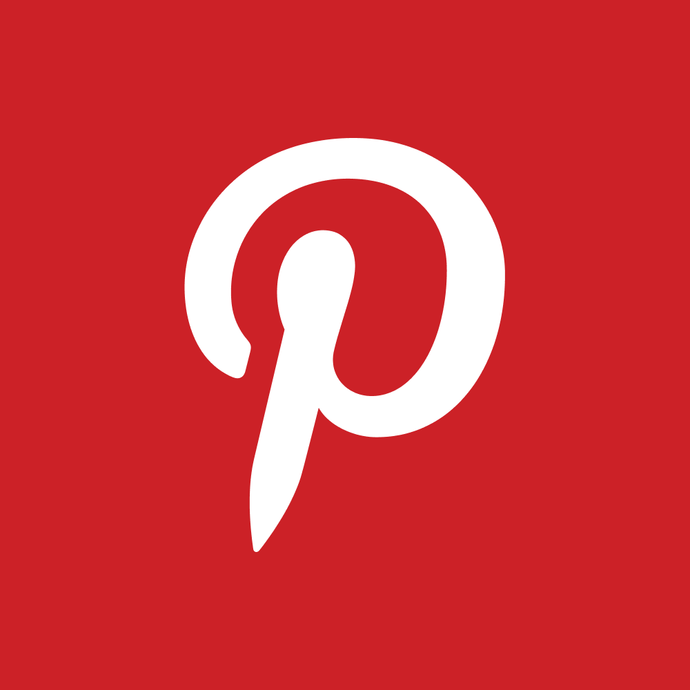 PINS logo