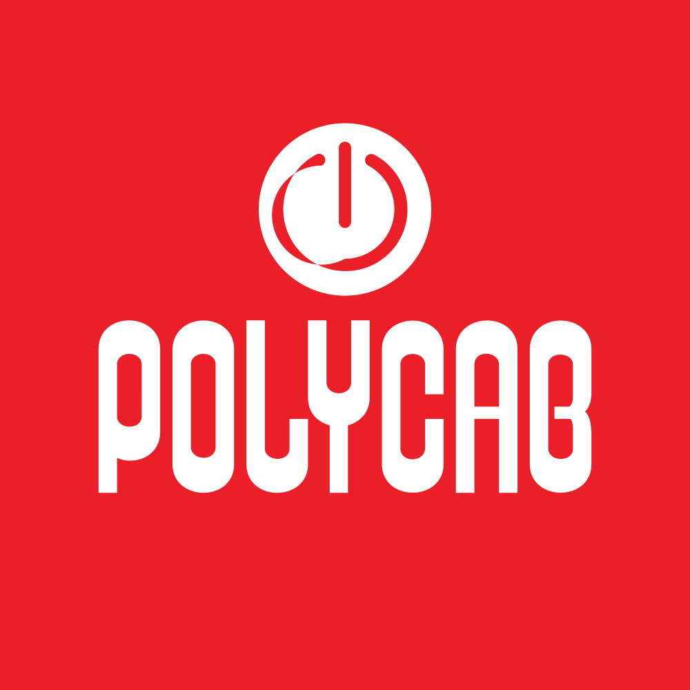 POLYCAB.NSE logo