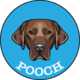 POOCH logo