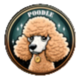 POODLE logo