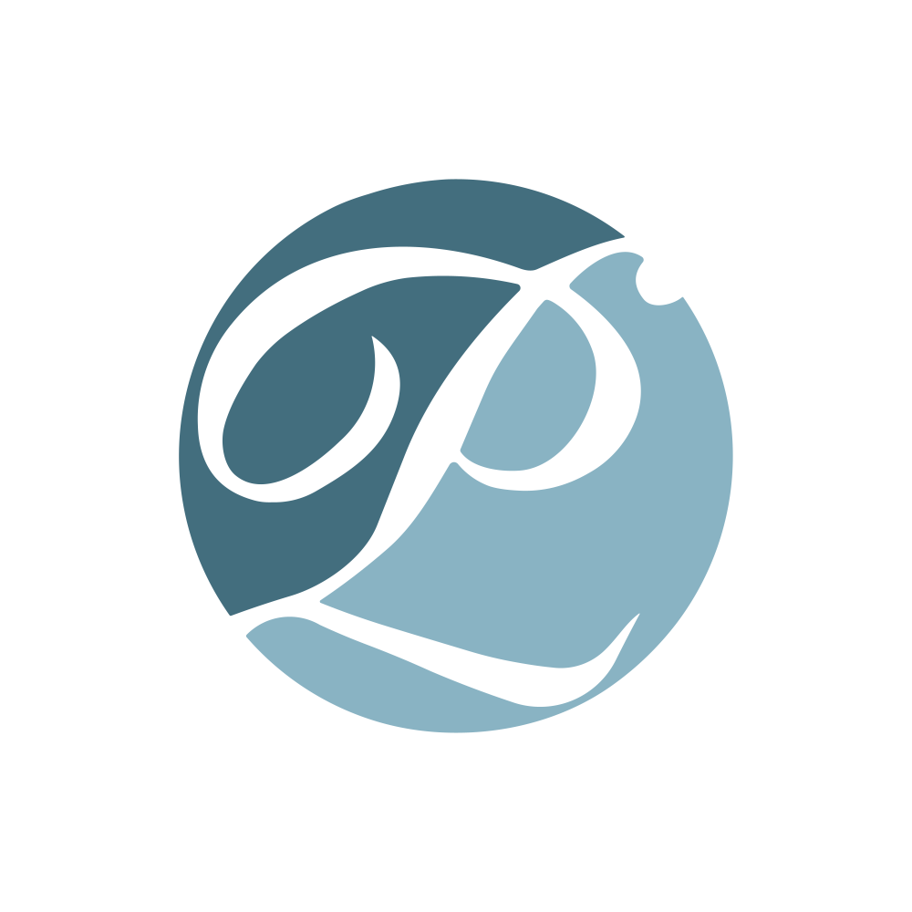 PRANIK.NSE logo