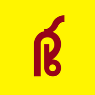 PSB.NSE logo
