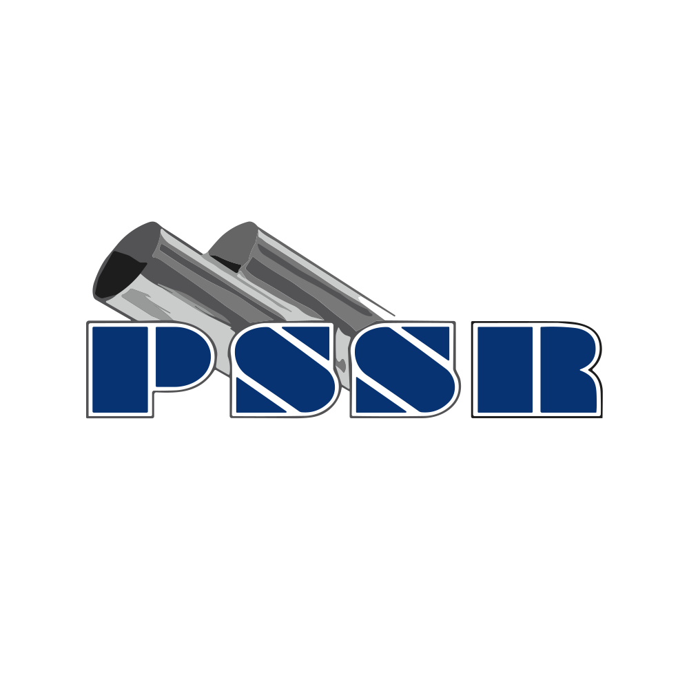PSRAJ.NSE logo