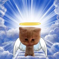 PUMPCAT logo