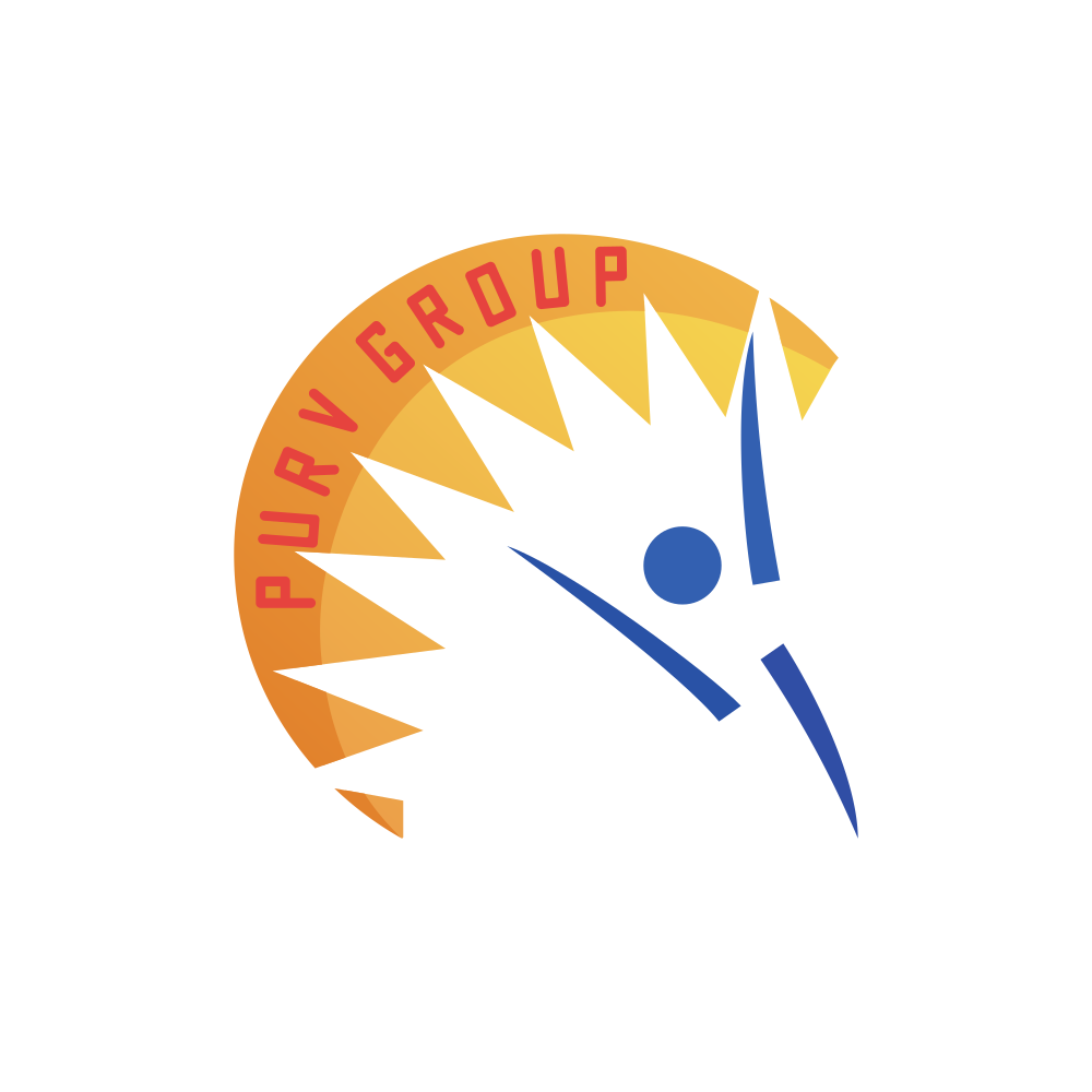PURVFLEXI.NSE logo