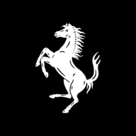 RACE logo