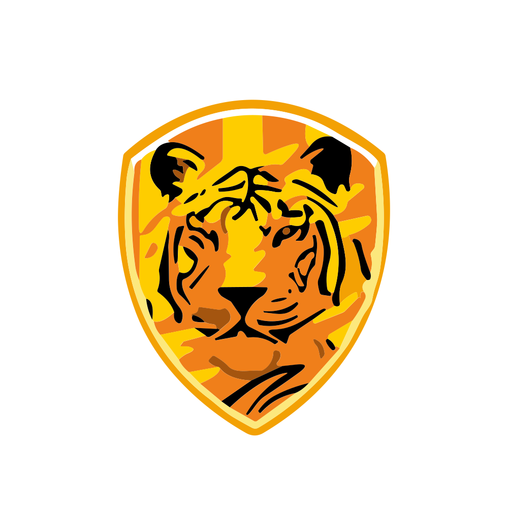 RAJINDLTD.NSE logo