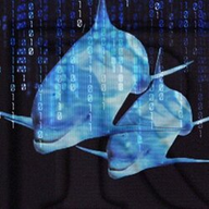 RAPR logo