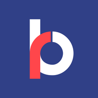 RBLBANK.NSE logo