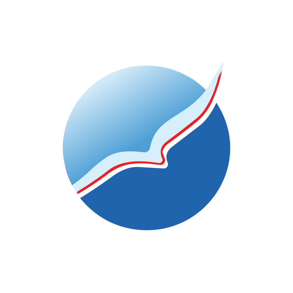 SADHAV.NSE logo