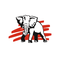 SAURASHCEM.NSE logo