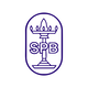 SESHAPAPER.NSE logo