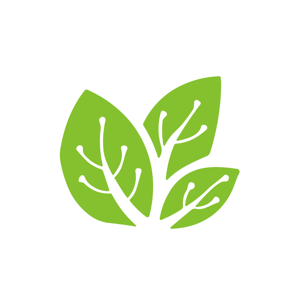SHANTHALA.NSE logo