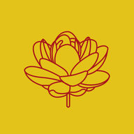 SHREDIGCEM.NSE logo
