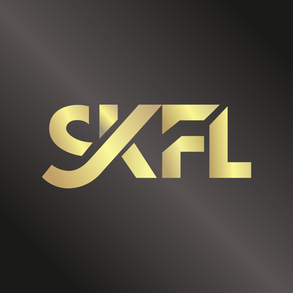 SHREEKARNI.NSE logo