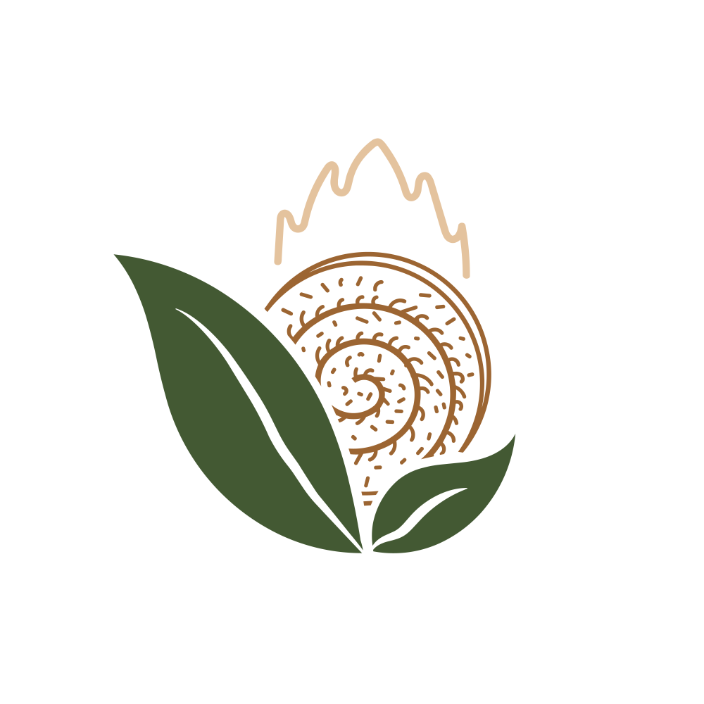 SHUBHSHREE.NSE logo