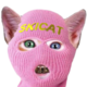 SKICAT logo
