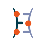 SLN logo