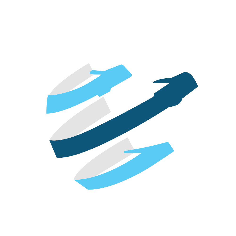 SLONE.NSE logo