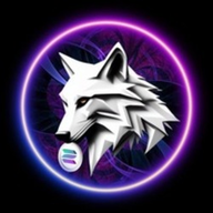 SOLTAMA logo