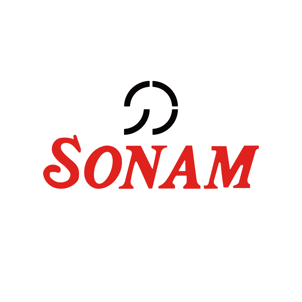 SONAMLTD.NSE logo