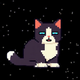 SPACECAT logo