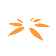 SPANDANA.NSE logo