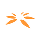 SPANDANA.NSE logo