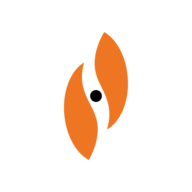 STXS logo