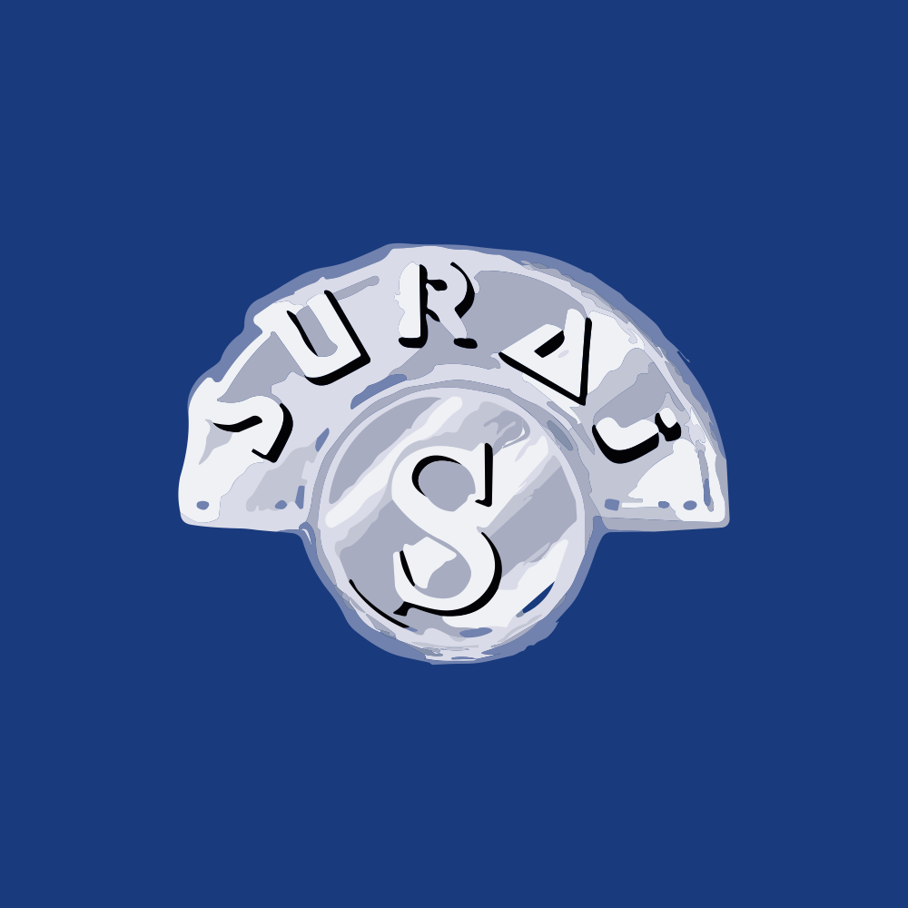 SURAJLTD.NSE logo