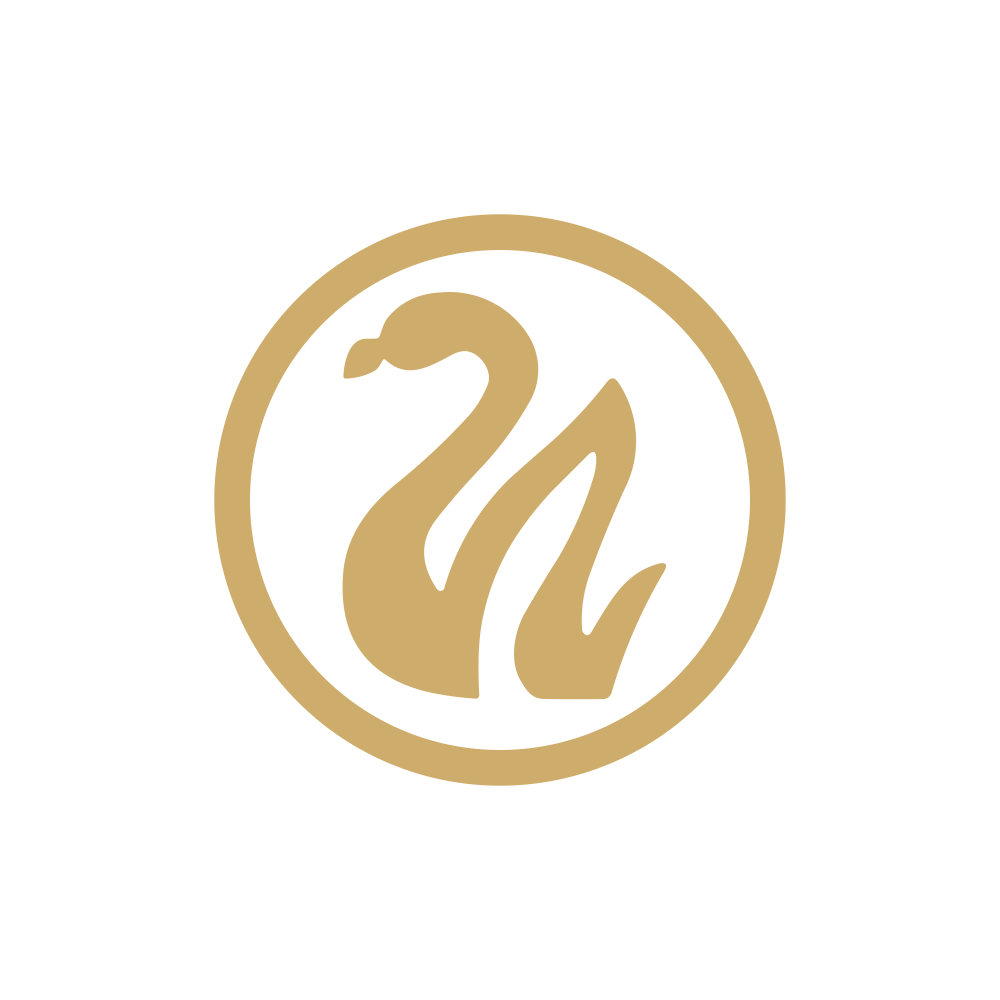 SWANDEF.NSE logo