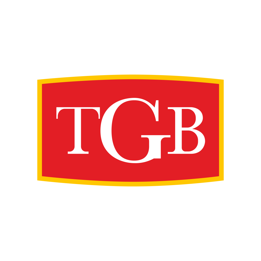 TGBHOTELS.NSE logo
