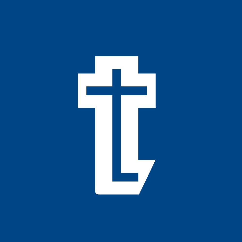 TICL.NSE logo