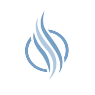 TLX logo