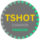 TSHOT logo