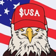 USA logo