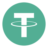 USDT.POL logo