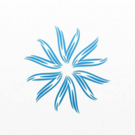 VALYR logo