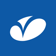 VARROC.NSE logo