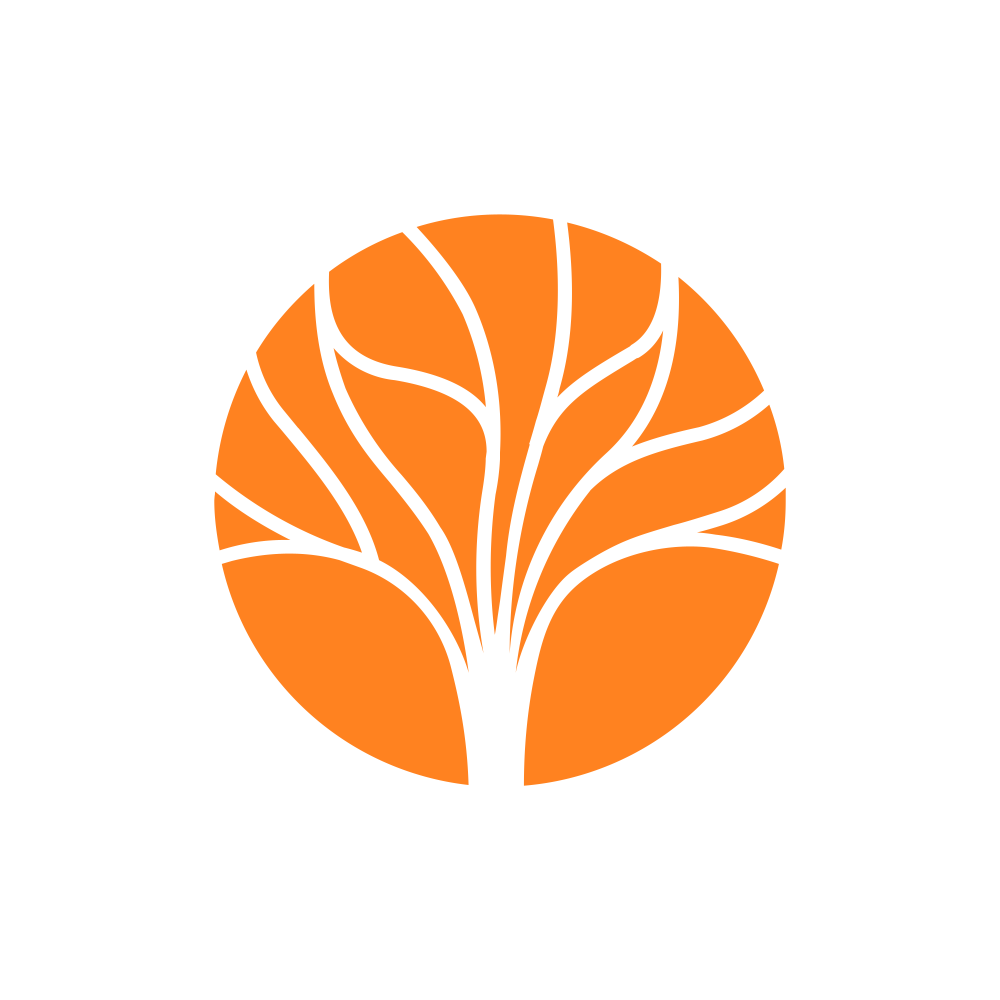 VENTIVE.NSE logo
