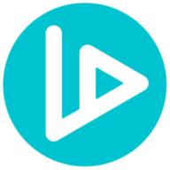 VIDT logo