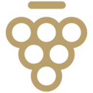 VIN logo
