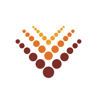 VINSYS.NSE logo