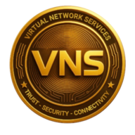 VNS logo