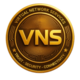 VNS logo