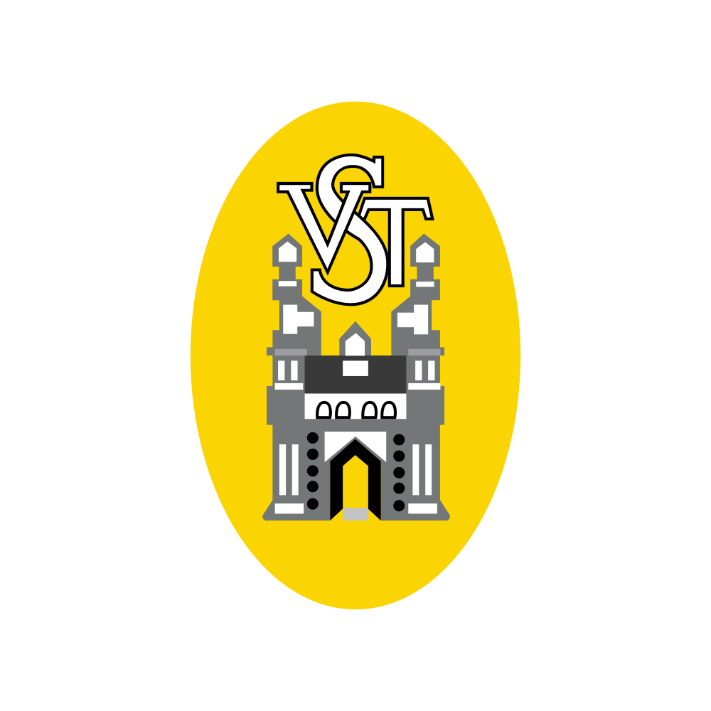 VSTIND.NSE logo