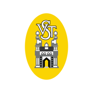 VSTIND.NSE logo
